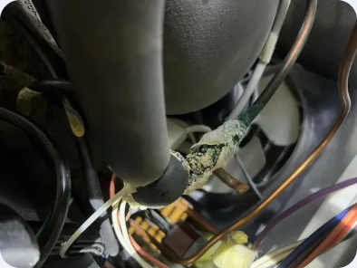 Refrigerator machinery compartment showing copper tubing with visible surface buildup near the compressor and fan.